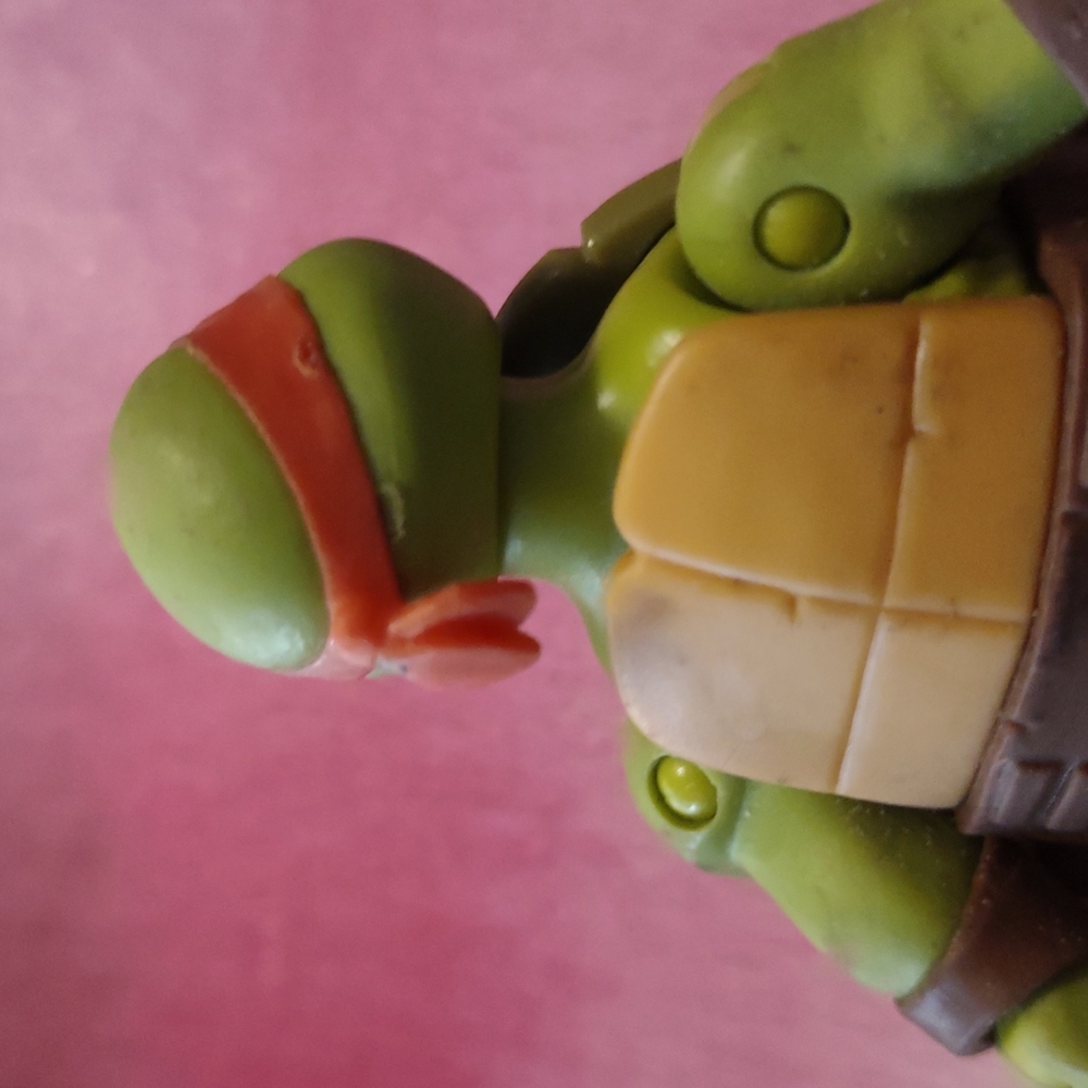 Ninja Mutant turtle - Picture 6 of 6
